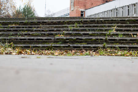 Grass and yellow leaves on concrete steps close upの写真素材