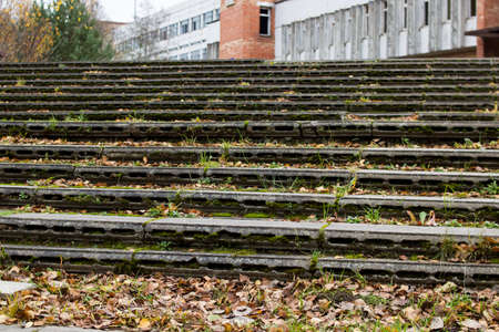 Grass and yellow leaves on concrete steps close upの写真素材