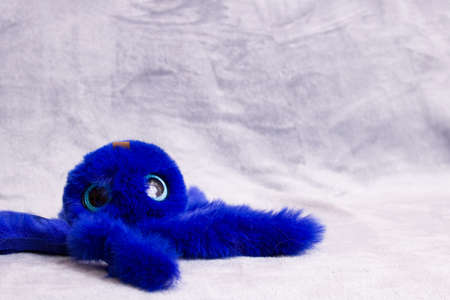 Blue fluffy octopus toy on gray background, copy spaceの写真素材
