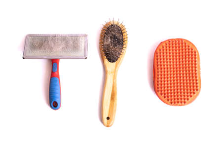 Animal grooming brushes isolated on a white backgroundの写真素材