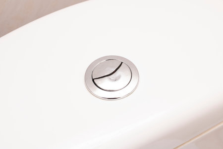 Flush button on a white toilet close up