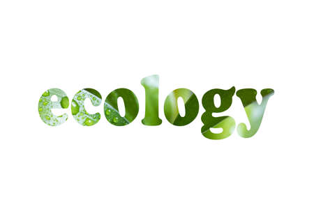 Word ecology made from green leaves isolated on whiteの写真素材