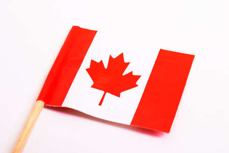 Small canada flag in hand isolated on white background close upの写真素材