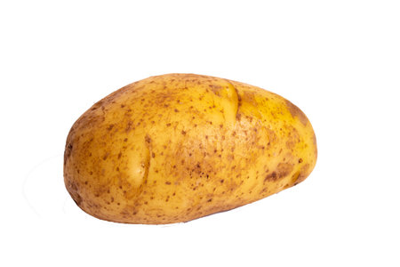 Big potato isolated on a white background close upの写真素材