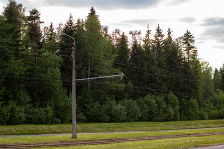 Tram track rails among green grass close upの写真素材