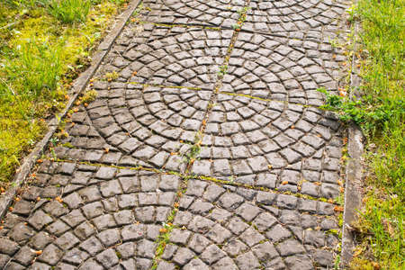 Old tiled path in the park among the grass close upの写真素材
