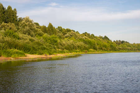 River and summer forest view under blue sky with cloudsの写真素材