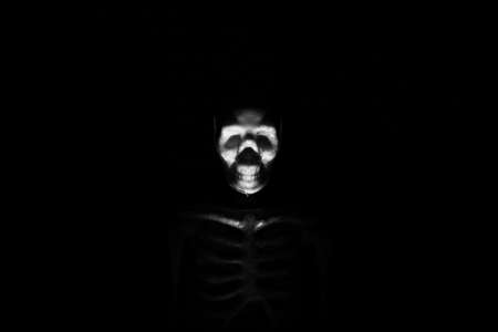 Human skeleton model in the dark close upの写真素材
