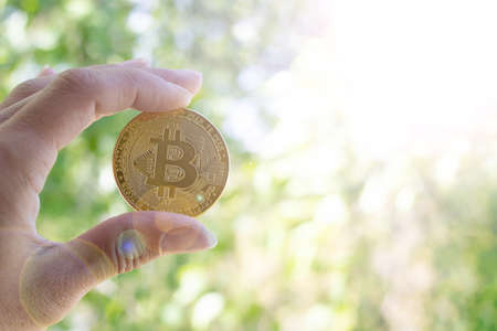Bitcoin in the hand on the background of greenery in the sunlight