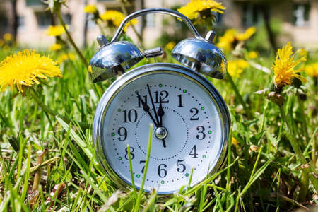 Alarm clock among grass and flowers close up