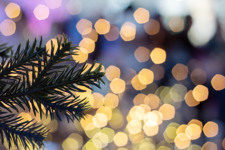 New Years decorations on green spruce branchesの写真素材