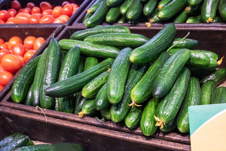 Heap of Long green cucumbers in a container close upの写真素材