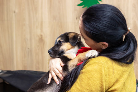 Belarus, Minsk - December 17, 2023: Girl holding a puppy close up