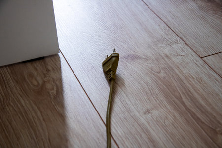 A brown power cord lies on a hardwood floor next to a wooden door. An insect crawls on a twig nearby, possibly attracted by the wood stainの写真素材