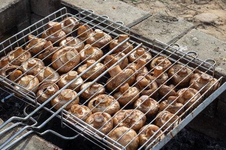 Mushrooms grilling on gas cooker close up, tasty finger food cookingの写真素材