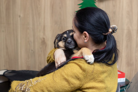 Belarus, Minsk - December 17, 2023: Girl holding a puppy close upのeditorial素材