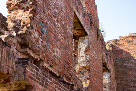 The interior of a weathered, old brick building, with lush trees visible in the background, creating a blend of nature and architectureの写真素材