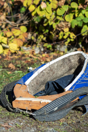 An object is resting on the ground, partially covered by grass and surrounded by elements of nature...