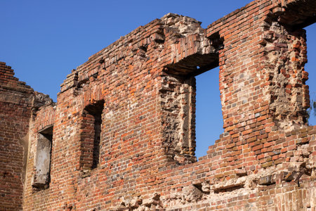 The interior of a weathered, old brick building, with lush trees visible in the background, creating a blend of nature and architectureの写真素材