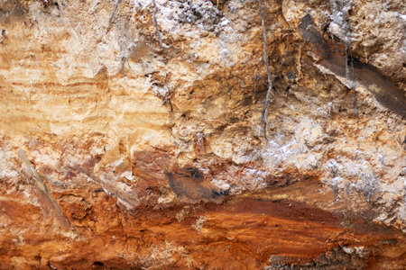 This is a detailed closeup image of a rock that has a significant amount of dirt and soil...