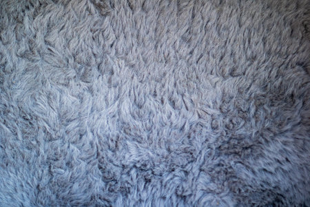 This image presents a detailed closeup view of a soft gray carpet that boasts a wonderfully fluffy texture, ideal for a cozy feelの写真素材
