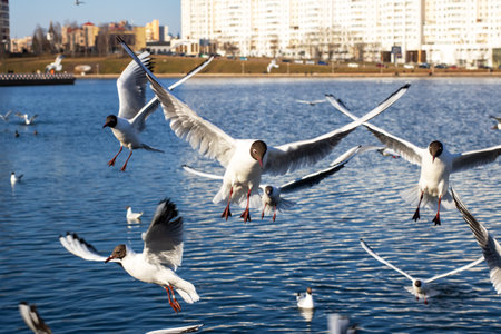 A large flock of seagulls is gracefully soaring over a vast expanse of shimmering water, creating a...