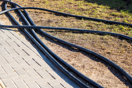 A tangled mess of black cables lies resting on the green grass adjacent to a paved walkway bathed in...