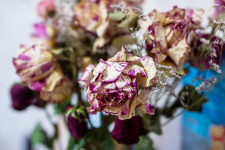 This image features a closeup view of a beautifully arranged bouquet of dried roses elegantly...