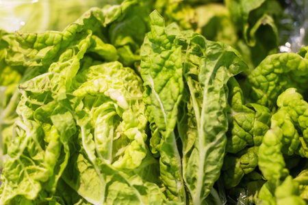 A fresh bunch of vibrant lettuce leaves is neatly arranged, sitting one on top of the other, resting...