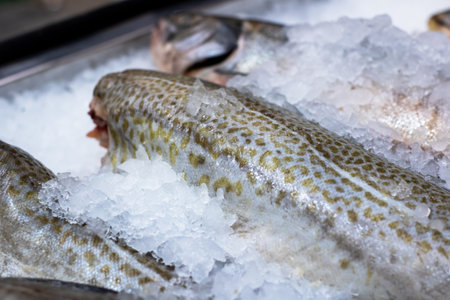 Several fish are currently resting on a bed of ice in a tray, perfectly prepared for various...