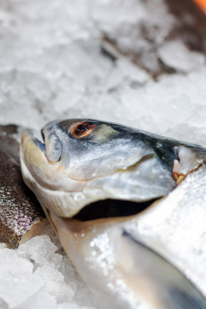 This image features a detailed close up of a fish resting on a slab of ice, showing its fresh...