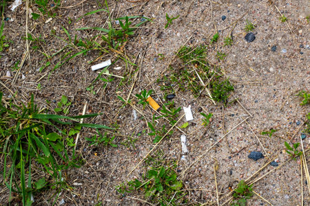 A bunch of discarded cigarettes is laying scattered on the ground amidst the grass and soil,...