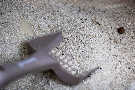 A cat litter scoop is currently positioned right on top of a sizable pile of sand that is scattered nearby, awaiting to be usedの写真素材