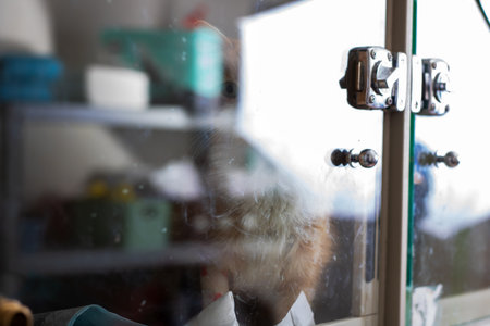 child reflection behind glass door, smudged surface and visible hinge, toddler pressing finger to...