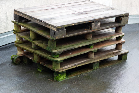 wet mossy wooden pallets stacked rooftop. abandoned maintenance storage scene on urban flat roof,...