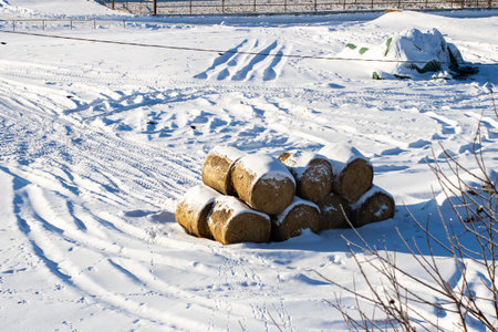 Snowcovered hay bales in field, cozy winter sunlight casting long blue shadows across pristine snow,...