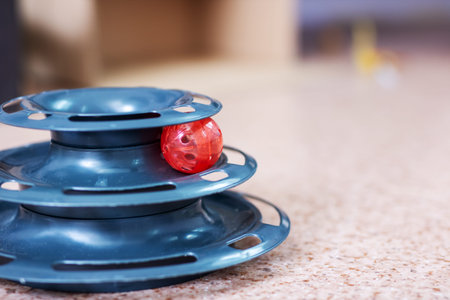 Stacked cat toy with red ball on speckled countertop, closeup shallow depth, glossy plastic tiers, idle yet suggestiveの写真素材