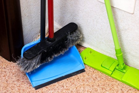 Cleaning tools resting in corner, blue dustpan with worn bristles, black broom head, green flat mop...
