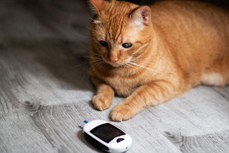 Orange tabby cat inspecting glucose meter on hardwood floor, paw near electronic device, soft...