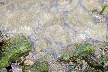 A top-down view of clear seawater along the coast, revealing rocks of different sizes visible...