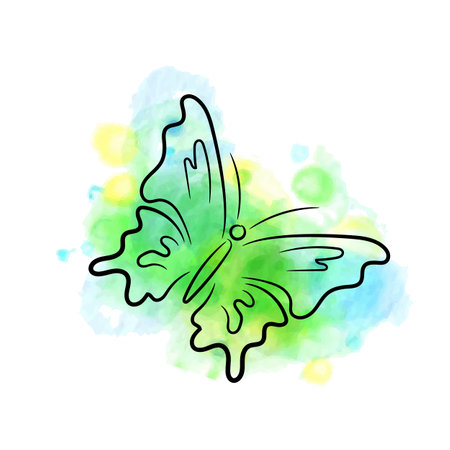 Beautiful calligraphic butterfly drawn with ink, with green, blue and yellow watercolor splashesのイラスト素材