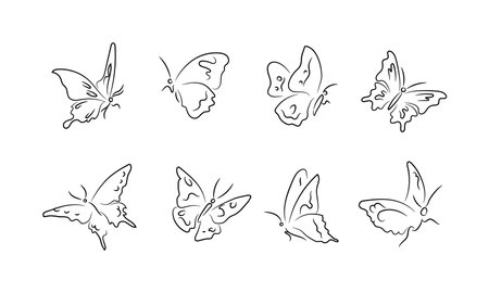 Contour or outline sketches of beautiful butterflies flying or sitting with folded or spread wingsのイラスト素材