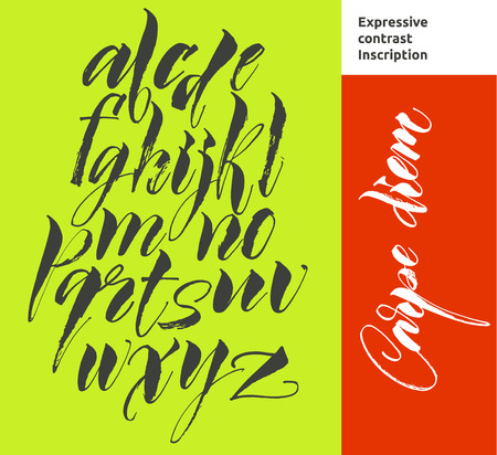 Alphabet letters: lowercase. Vector alphabet. Hand drawn letters. Letters of the alphabet written with a paint brushのイラスト素材