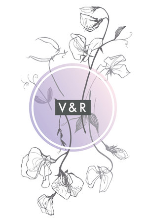 Floral wedding invitation with delicate sweet pea  in pink and grayのイラスト素材