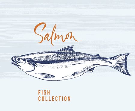 Delicates fish. Salmon. Hand drawn with brush and ink. Delicious meal vector illustrationのイラスト素材