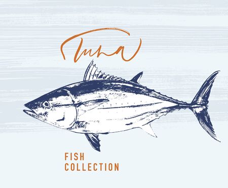 Delicates fish. Tuna. Hand drawn with brush and ink. Delicious meal vector illustrationのイラスト素材