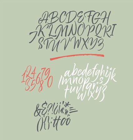 Handwritten font. Script. Calligraphic set with numbers and punctuationのイラスト素材