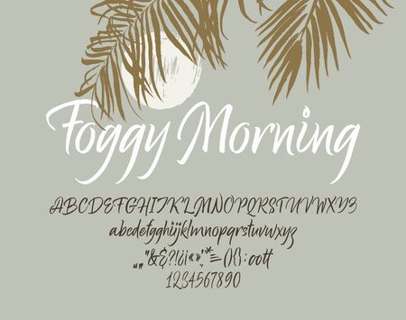 Foggy Morning handwritten font. Script. Calligraphic setのイラスト素材