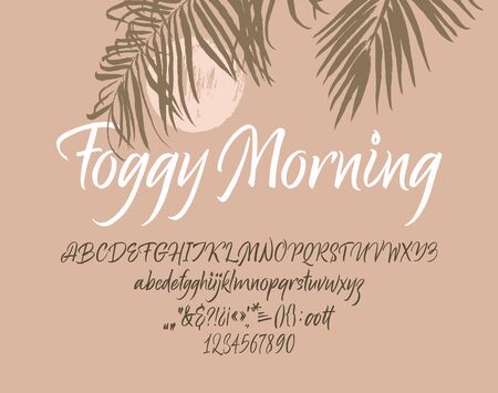 Foggy Morning handwritten font. Script. Calligraphic setのイラスト素材