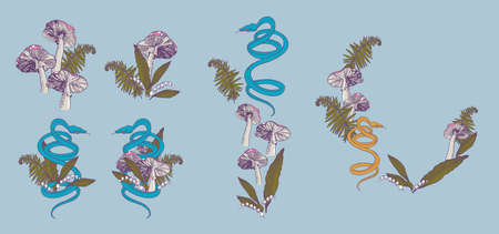 A snake preparing to attack among poisonous mushrooms, lilies of the valley and ferns. Color sketch for tattoo, print for clothes, poster. Vector illustrationのイラスト素材